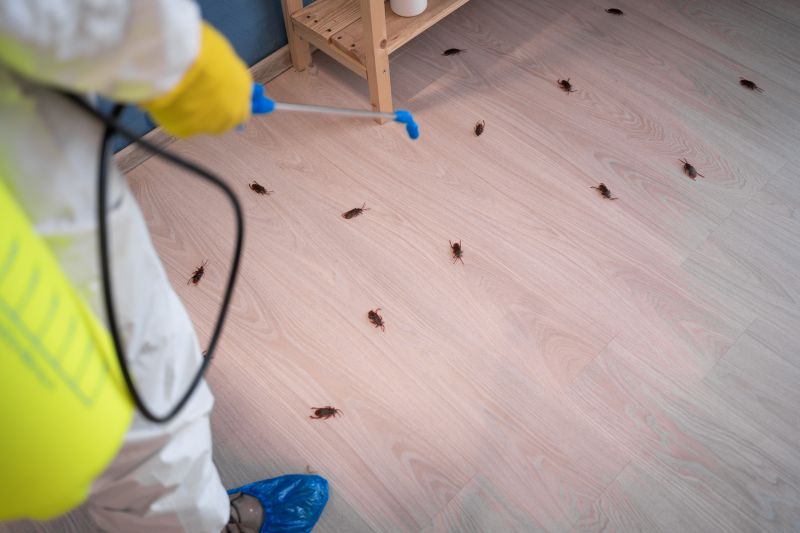 How Roaches Enter Buildings And Spread Quickly