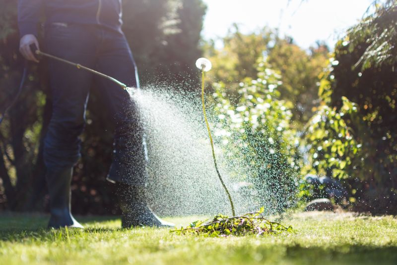 Landscape Spraying Service