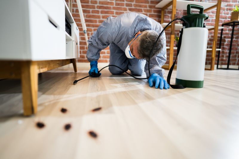 How Roaches Enter Buildings And Spread Quickly