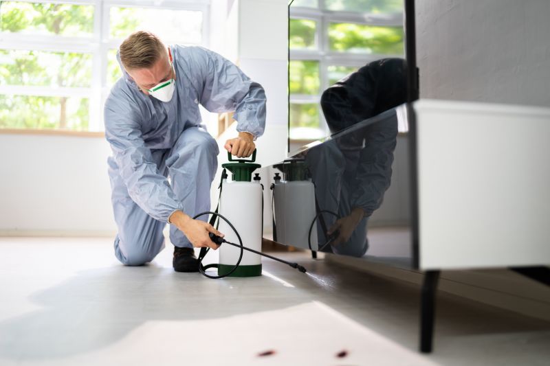 How Routine Pest Control Helps Prevent Major Infestations