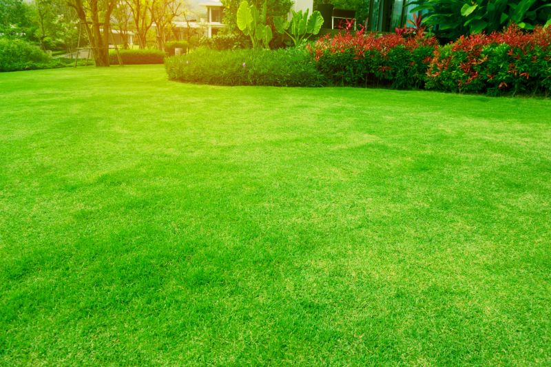 Healthy, Vibrant Lawn