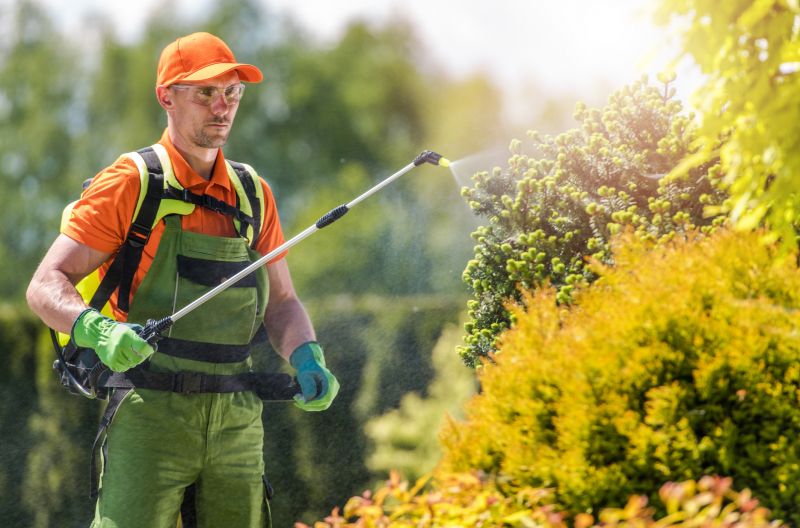 Pest Control Spraying