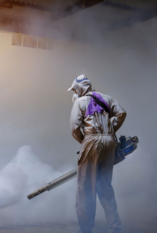 Rat Fumigation Service in Katy, TX