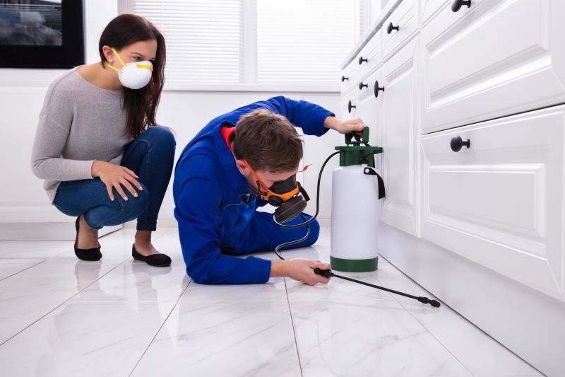 Seasonal Ant Activity And When To Schedule Pest Control Service