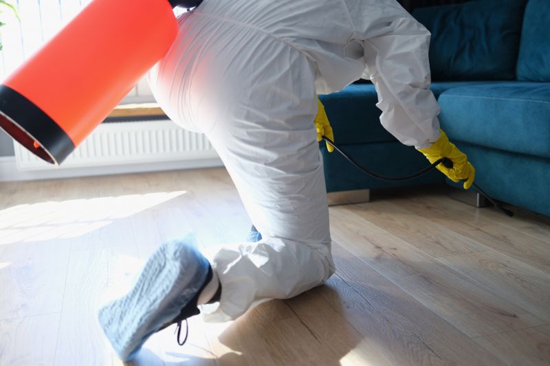 Seasonal Pest Problems And How To Prevent Them