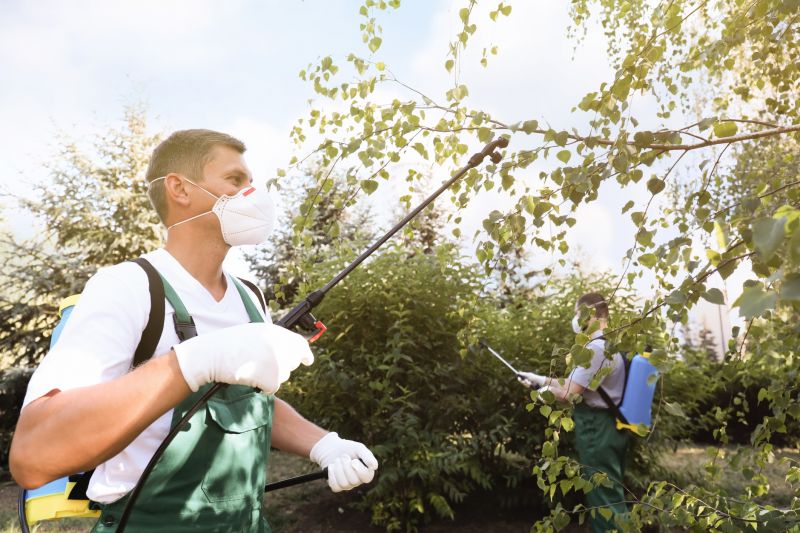 Seasonal Pest Problems And How To Prevent Them